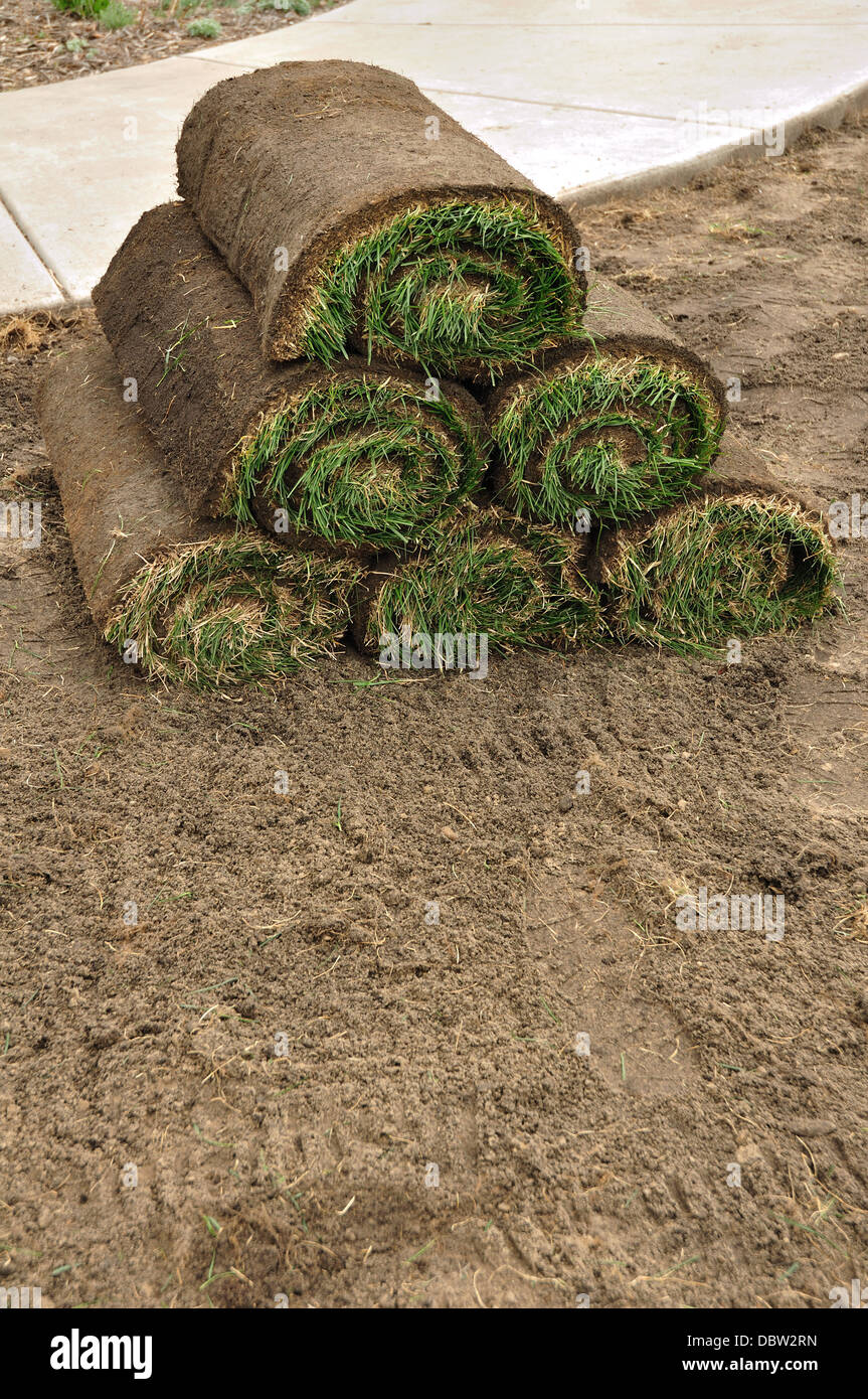 Lawn grass turf in rolls before laying new lawn Stock Photo Alamy