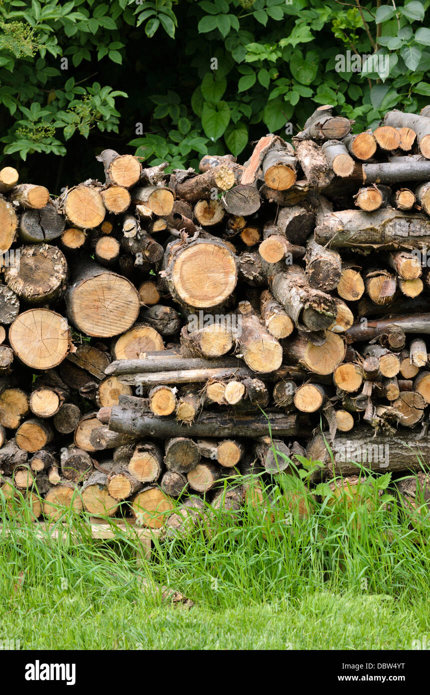 Stack of wood in a natural garden Stock Photo Alamy