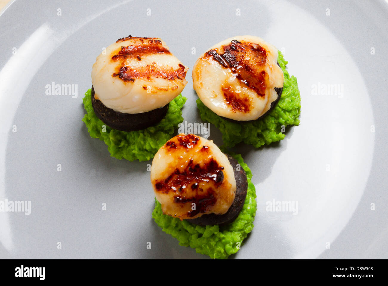 Starter dish of seared scallops/scallop,black pudding and crushed/mushy peas on a plate Stock Photo