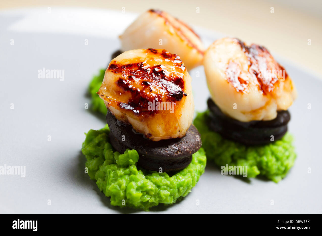 Starter dish of seared scallops/scallop,black pudding and crushed/mushy peas on a plate Stock Photo