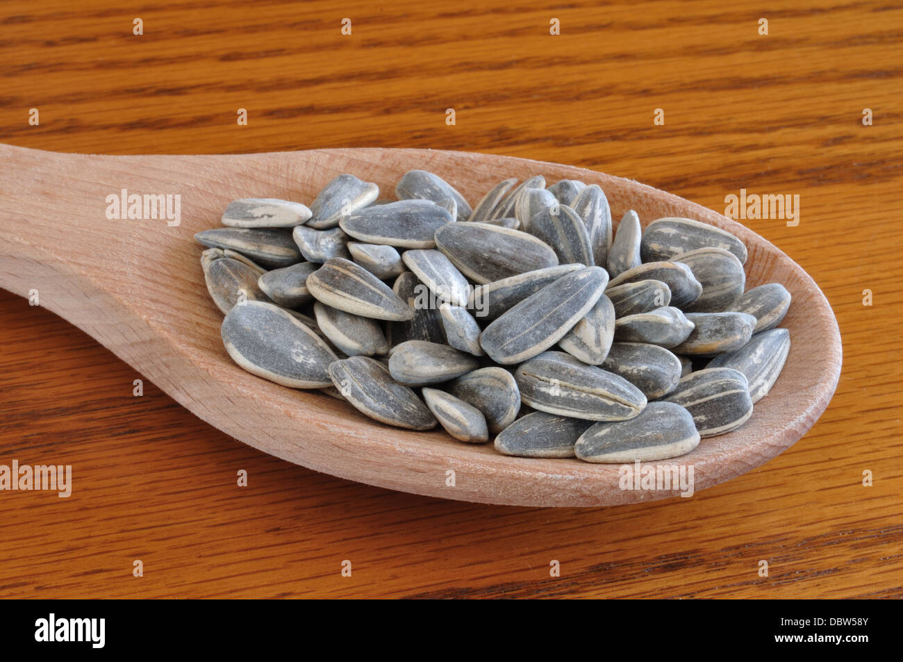 Sunflower seeds hi-res stock photography and images - Alamy