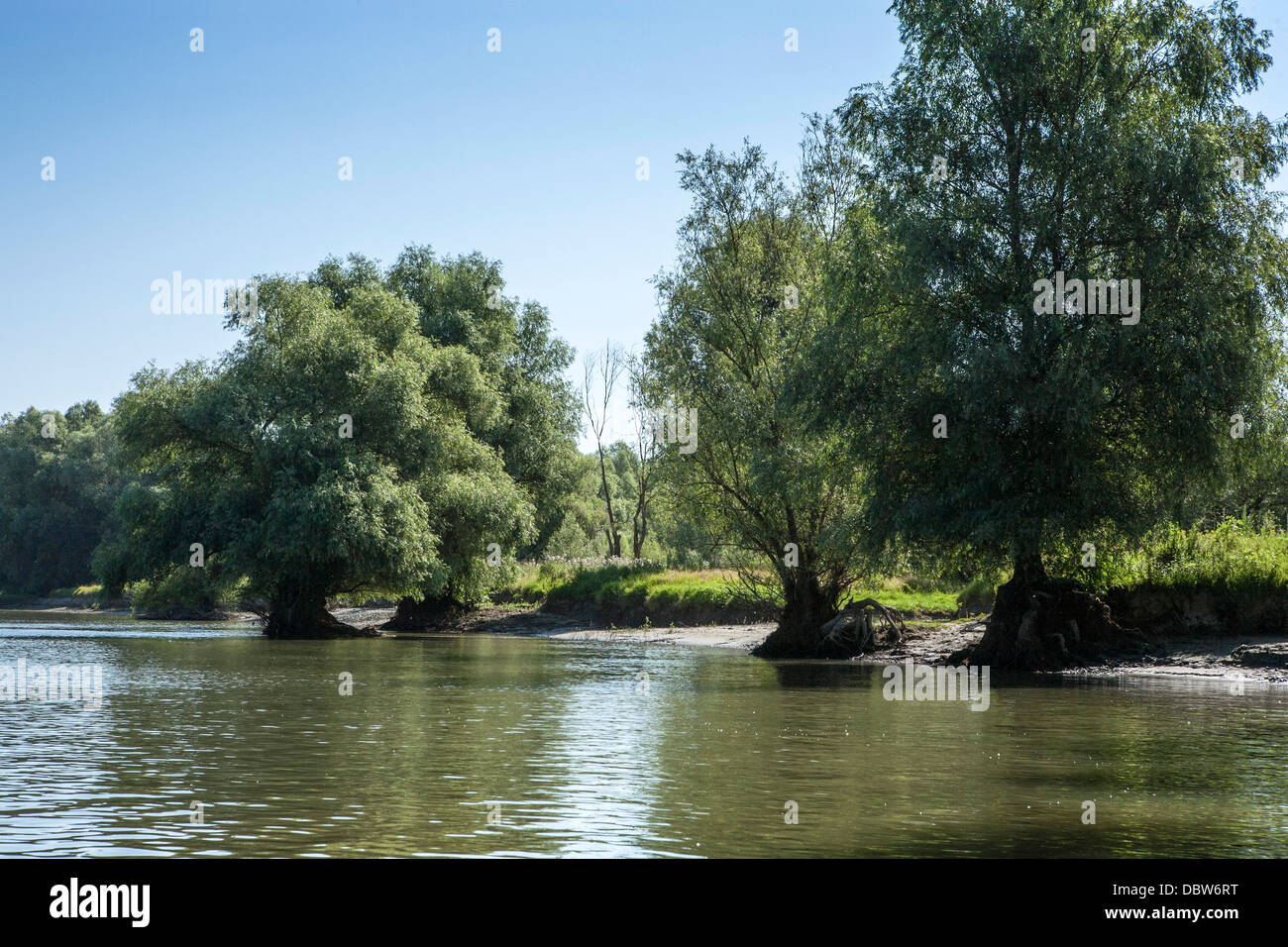 Danube river Delta, beautiful landscape, Romania, Dobrogea, UNESCO ...