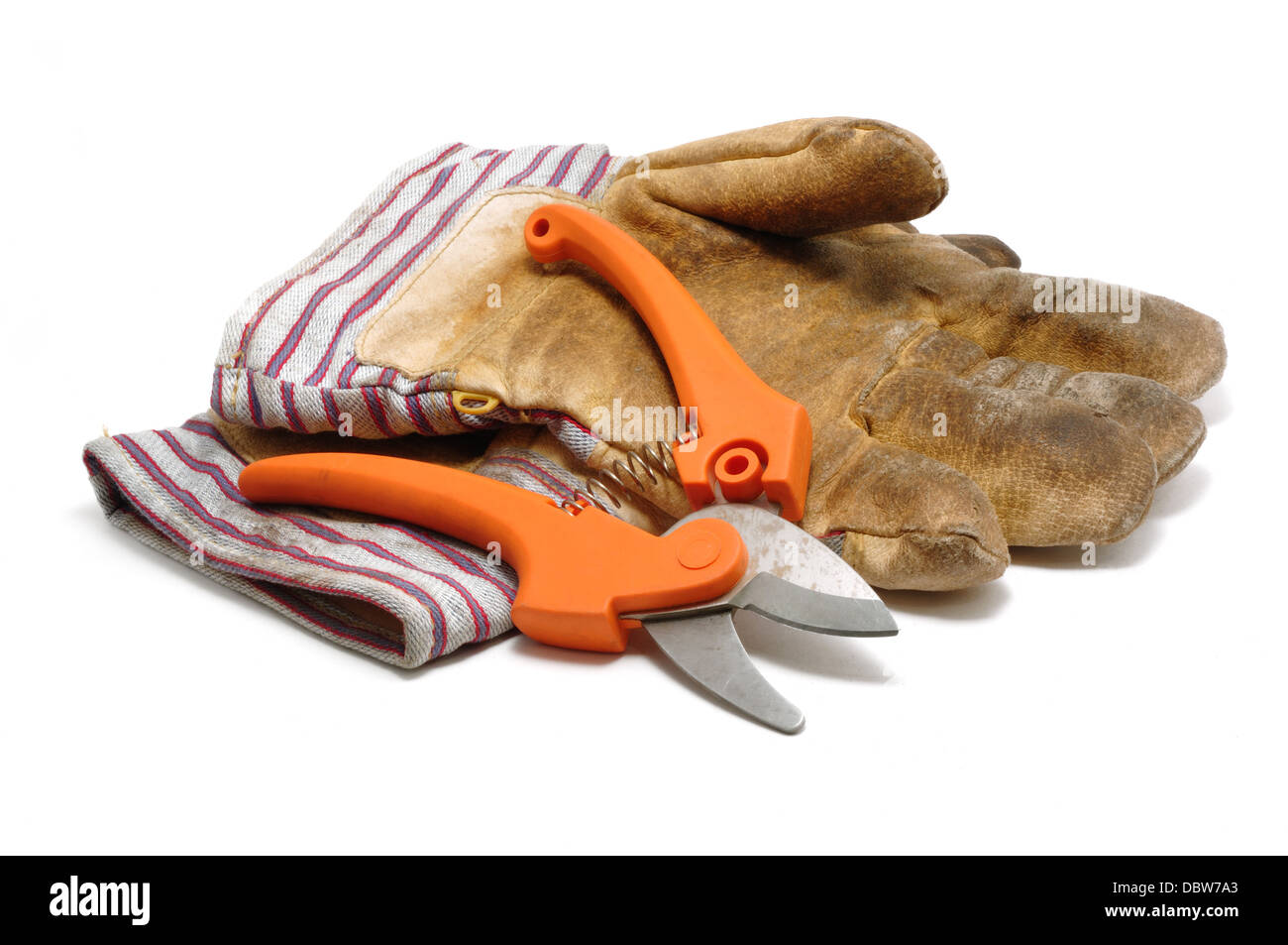 Pruning shears and gardening gloves cut out on white background Stock Photo