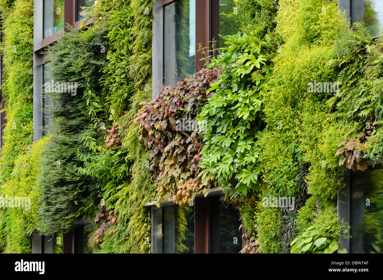 Vertical garden, Musée du quai Branly, Paris, France. Design: Patrick Blanc Stock Photo