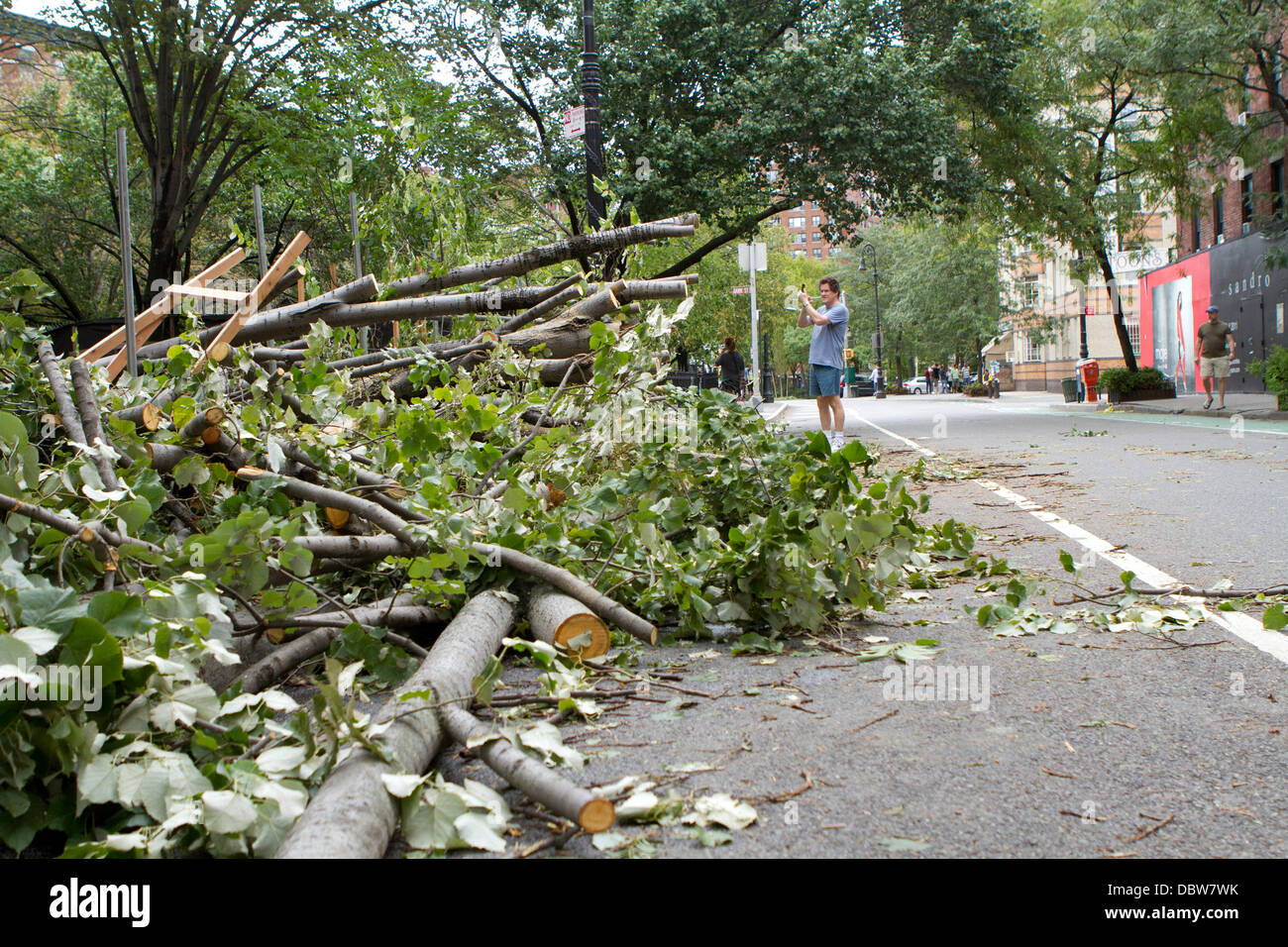 Fallen trees after Hurricane Irene hit New York City. Forecasts of the ...