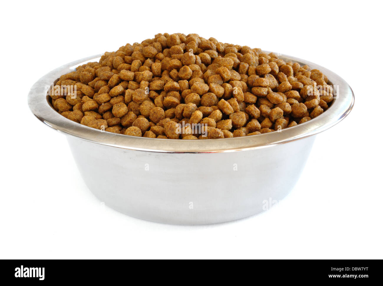 Dog food in a metal bowl Stock Photo