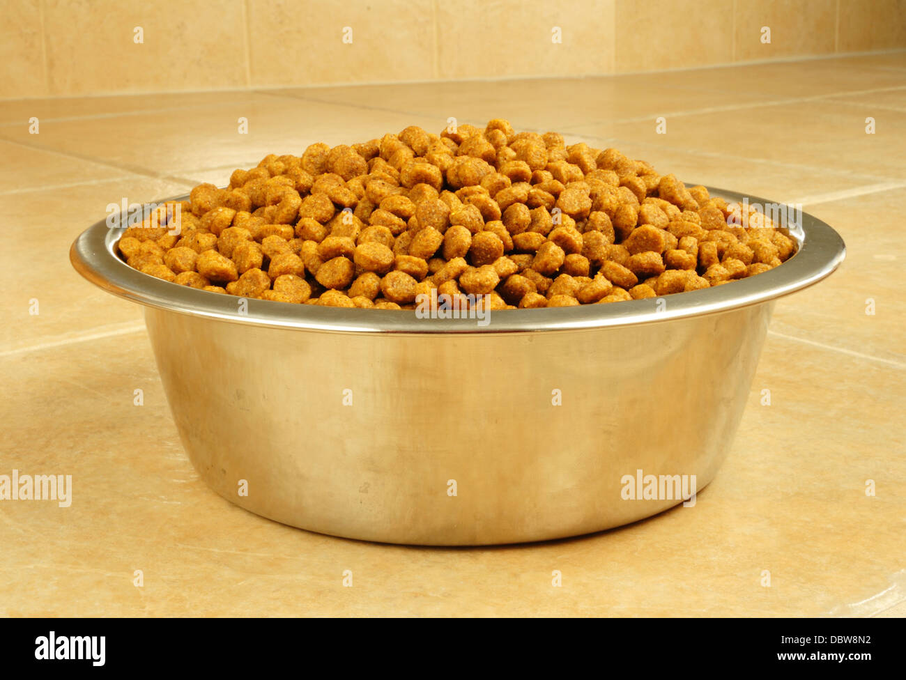 Dry Dog Food in a Stainless Steel Bowl Stock Photo