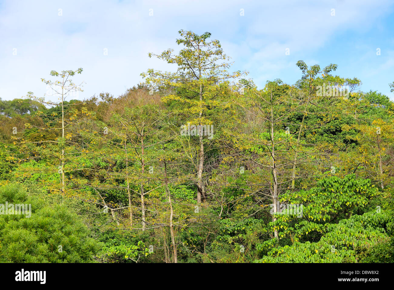 Beauty landscape beautiful hi-res stock photography and images - Alamy
