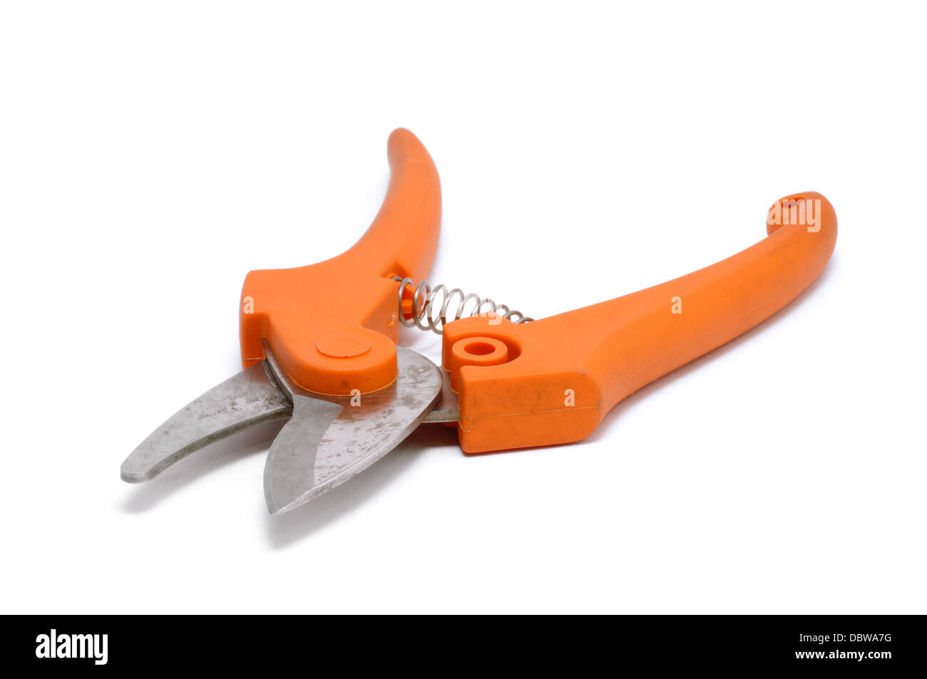 Pruning Shears / Secateurs - isolated on white background Stock Photo