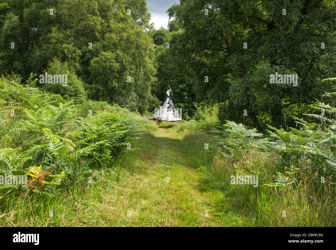Tipi at the bottom of a grassy woodland hill Stock Photo