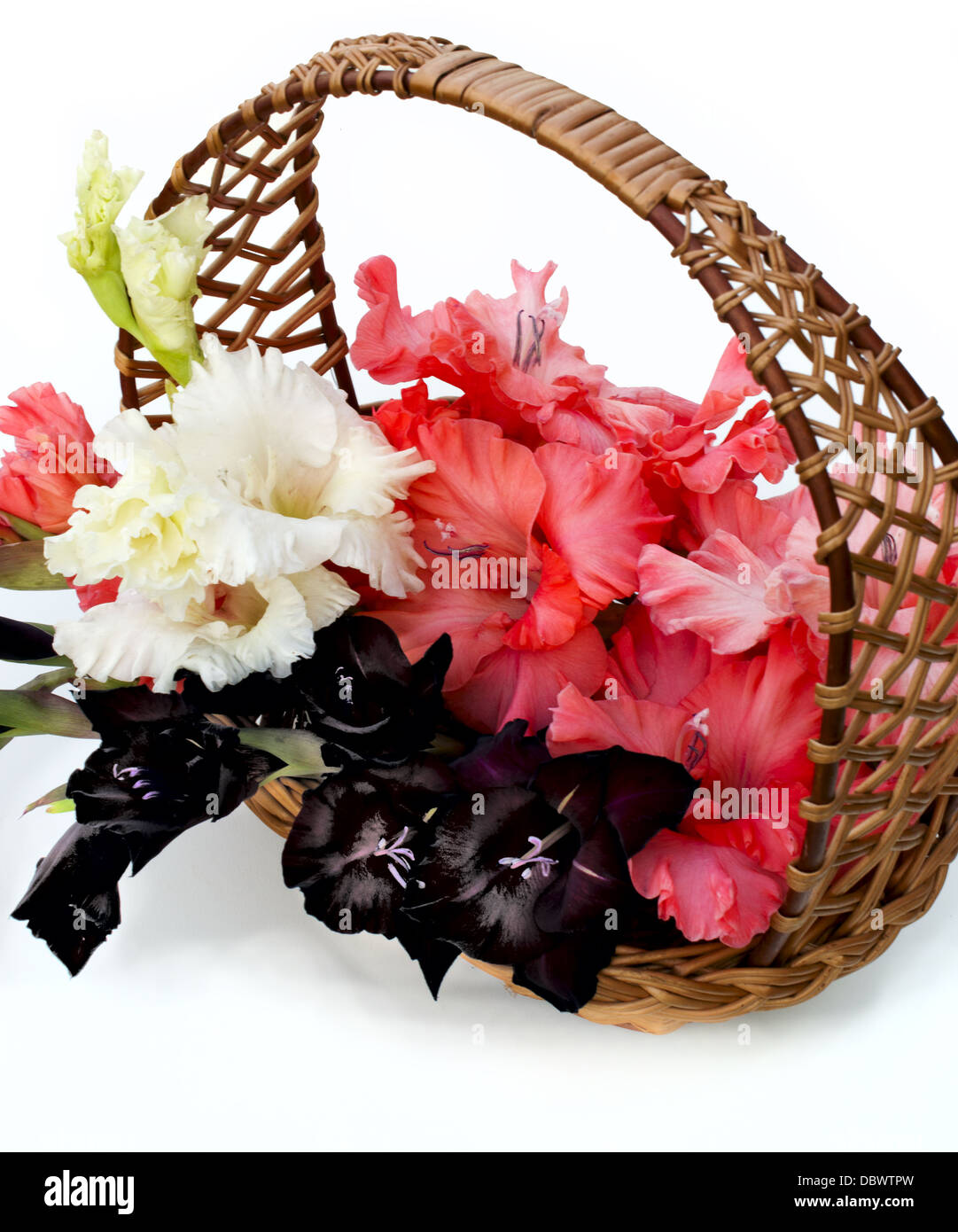 beautiful gladiolus are in a wicker basket Stock Photo