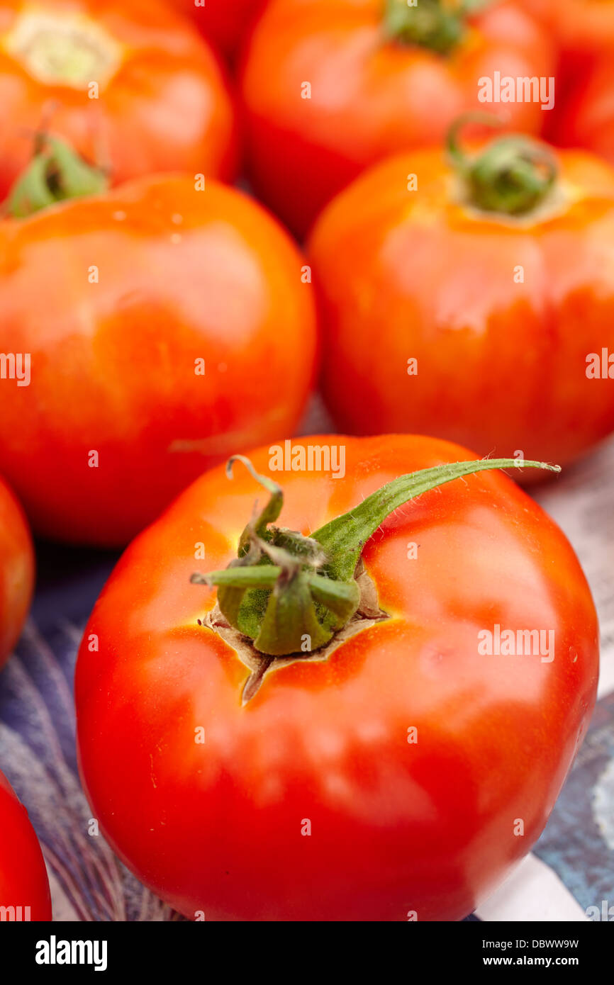 ripe, red New Jersey Beefsteak tomatoes Stock Photo Alamy