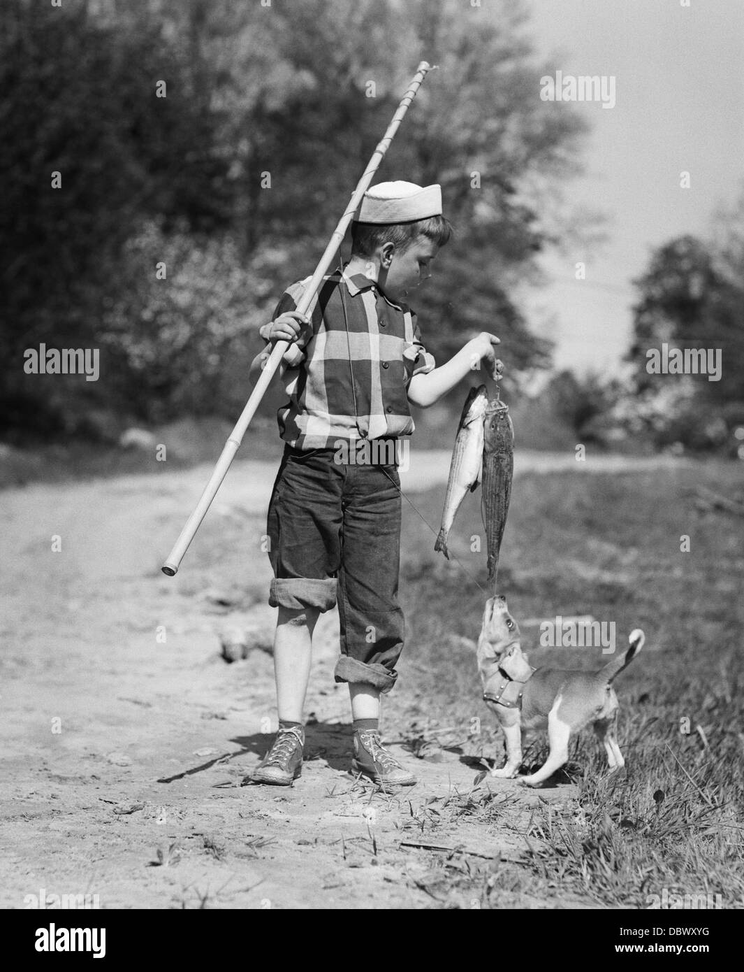 1950s BOY PLAID SHIRT SAILOR HAT FISHING POLE DOG PULLING ON TAIL OF CAUGHT  FISH Stock Photo - Alamy