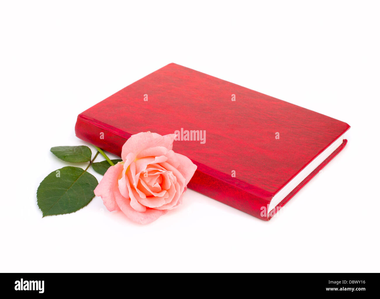 book and rose Stock Photo - Alamy