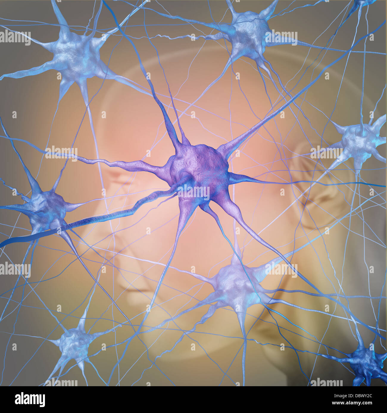 Human neuron cells in the brain as a medical symbol representing psychology and the science of neurology research in finding treatment for mental health diseases as alzheimer dementia and autism. Stock Photo