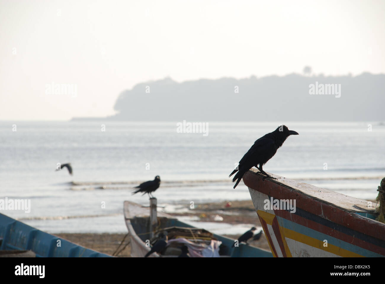 Bombay beach Stock Photo