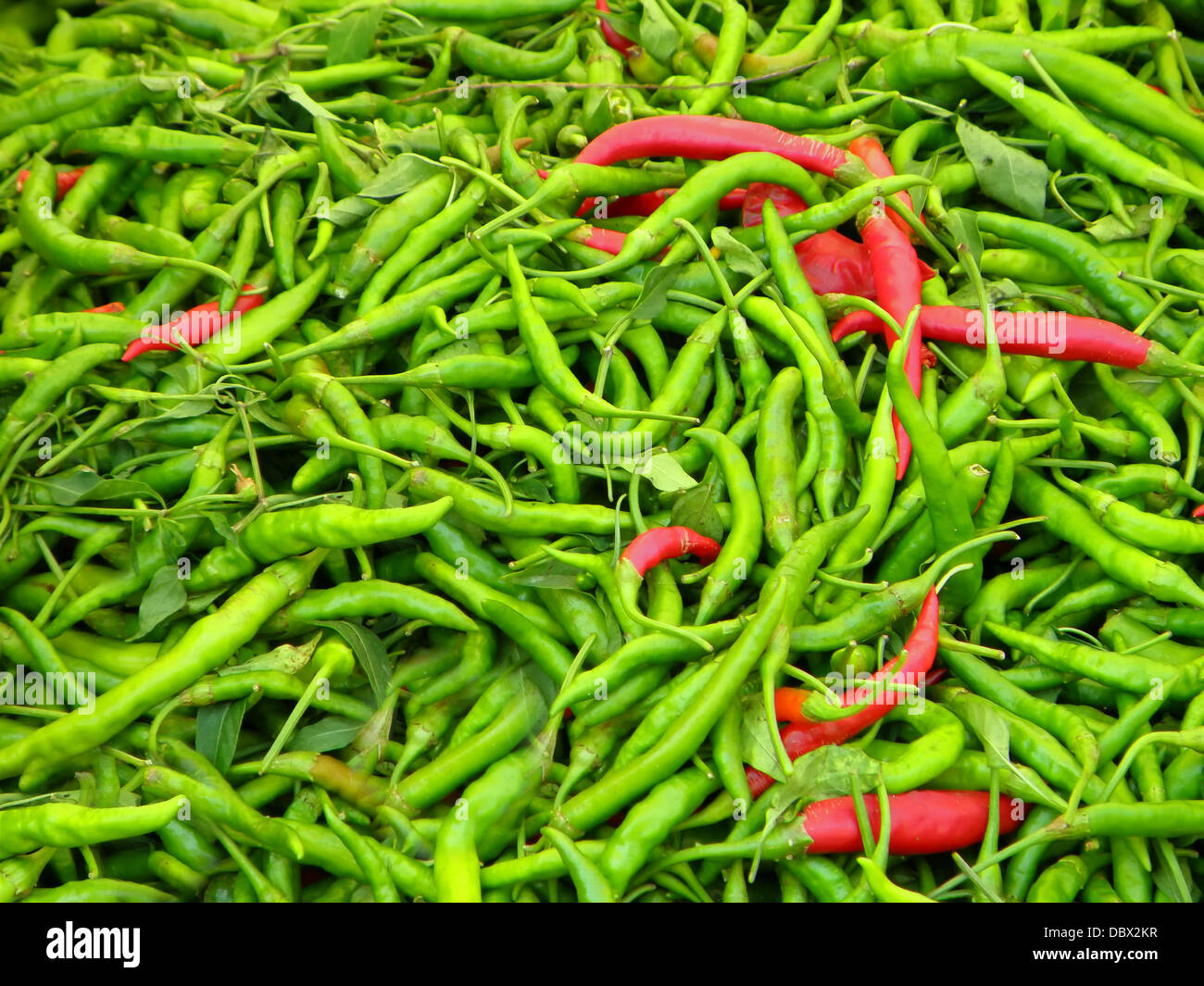 Red and green chile hi-res stock photography and images - Alamy