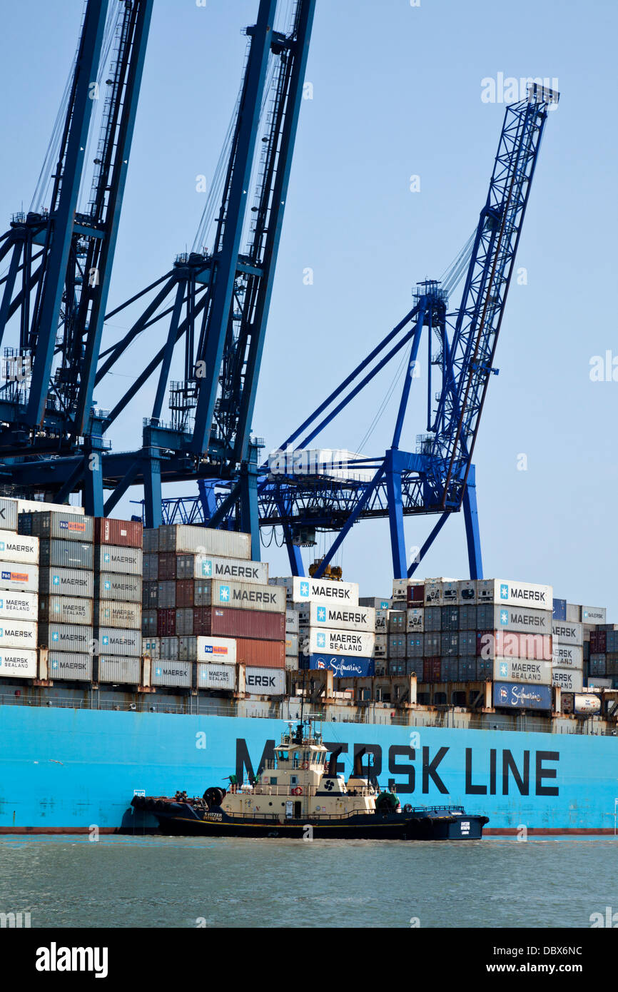 Maersk Karachi unloads at Felixstowe Container Port, Suffolk, UK Stock Photo