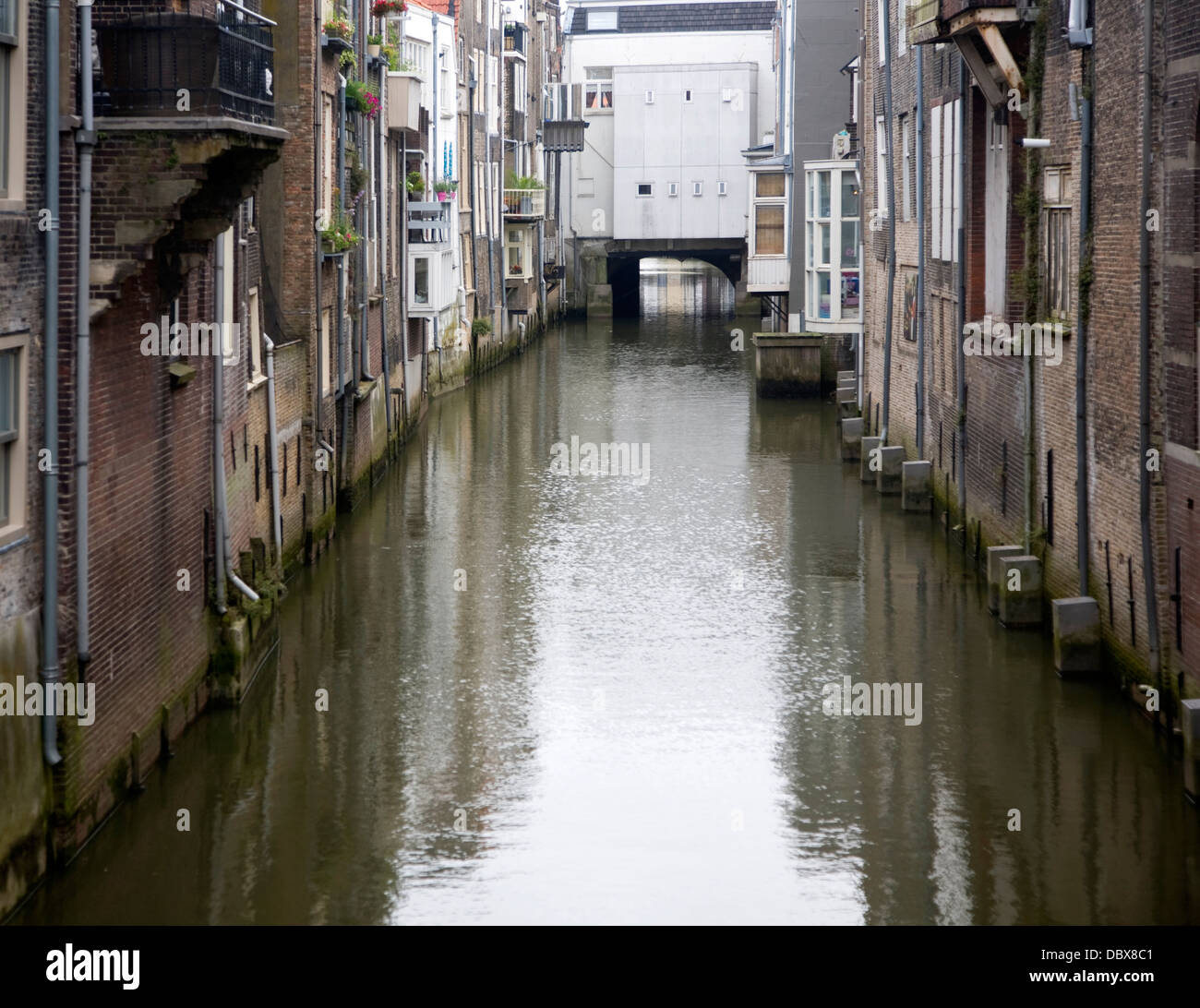Houses and canal Dordrecht Netherlands Stock Photo Alamy