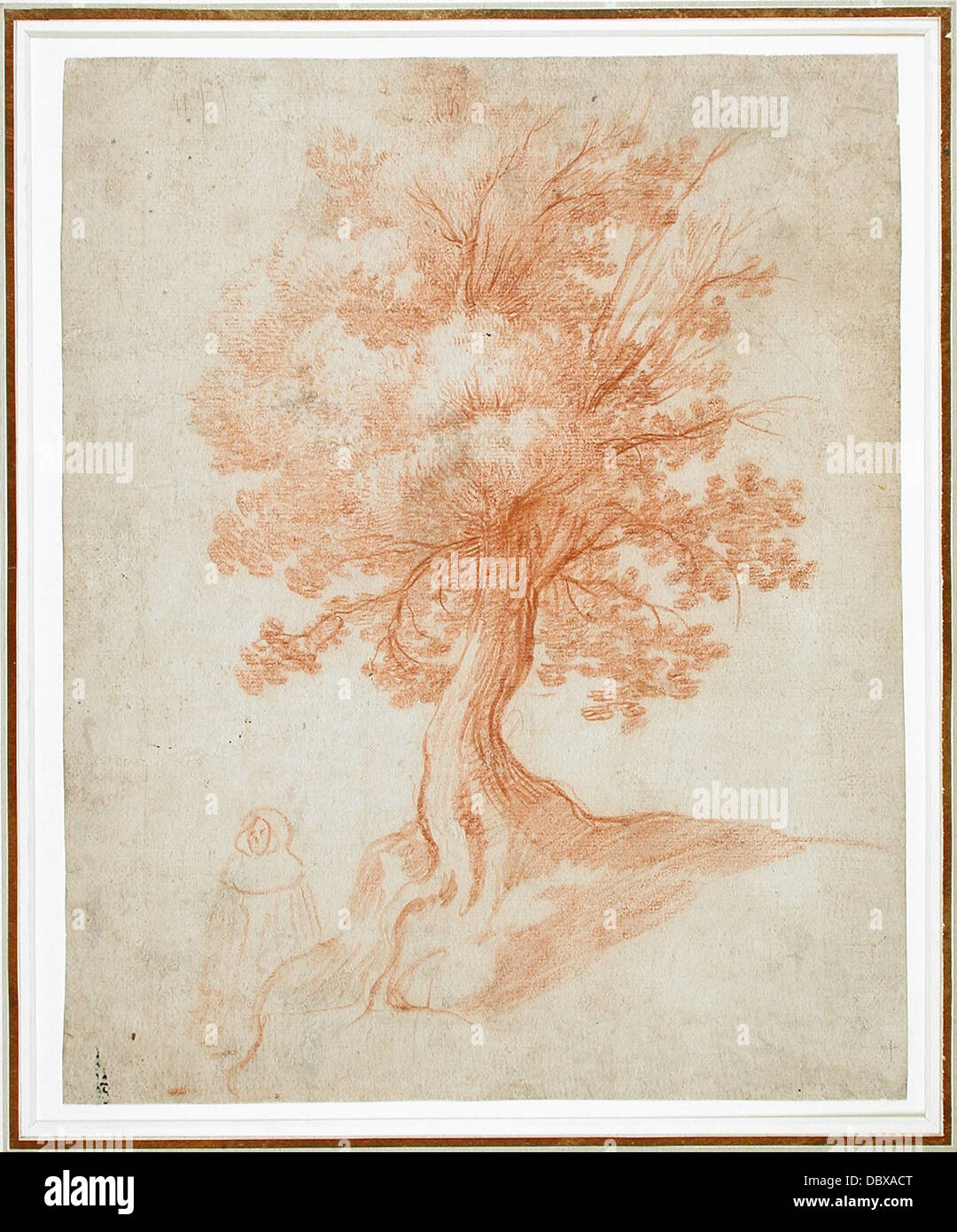 Study of a Tree M.84.149 Stock Photo - Alamy