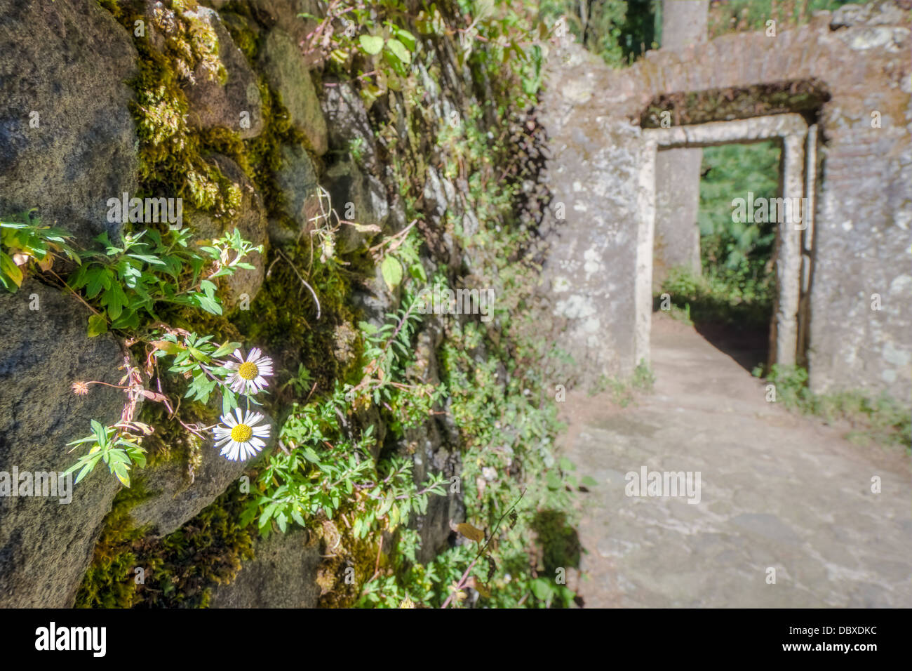 Picture taken near Mexico City Stock Photo Alamy