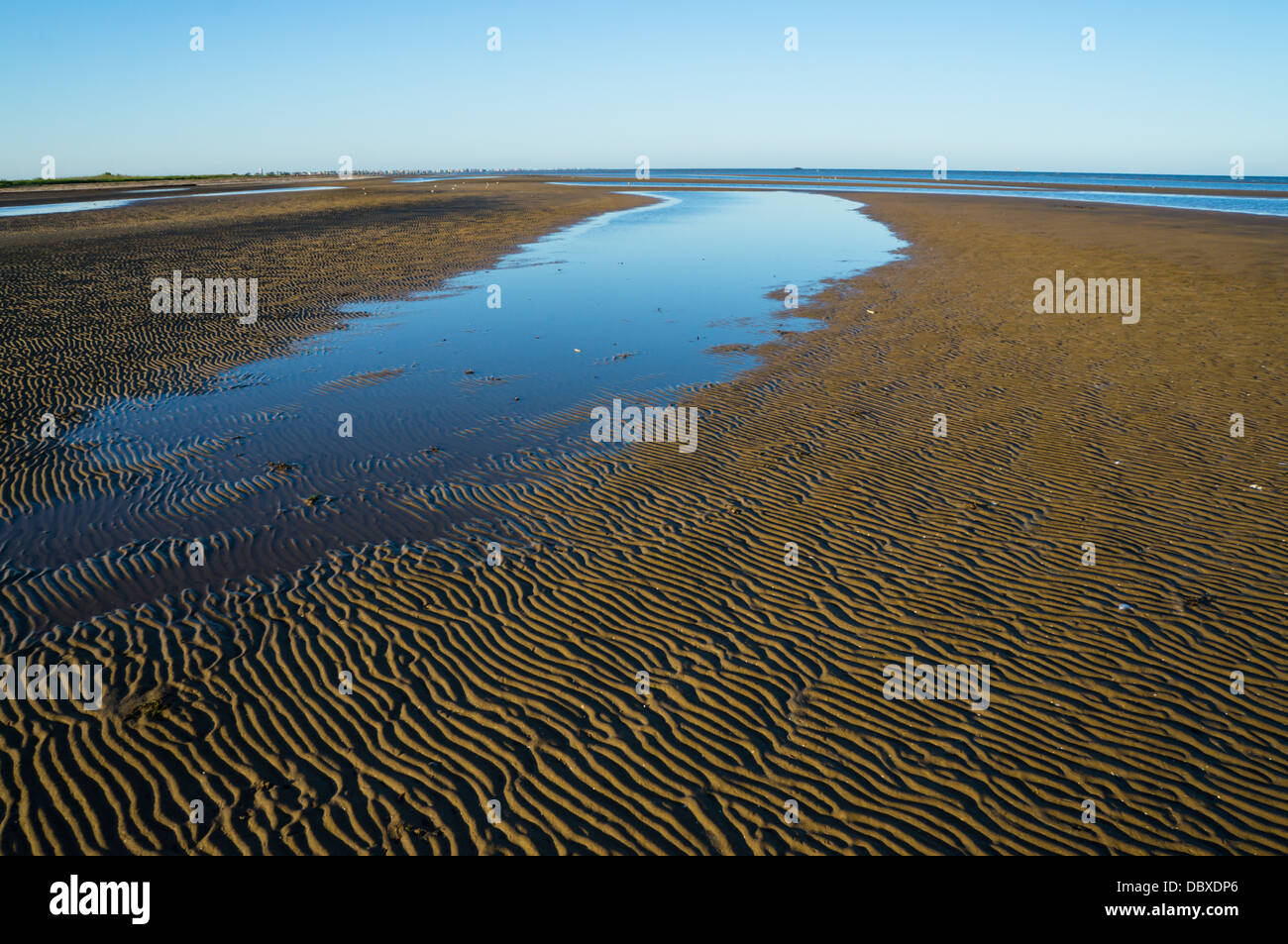 Waves left their patterns on a beach in Bolivar Peninsula in Texas where many shorebirds walk around. Stock Photo