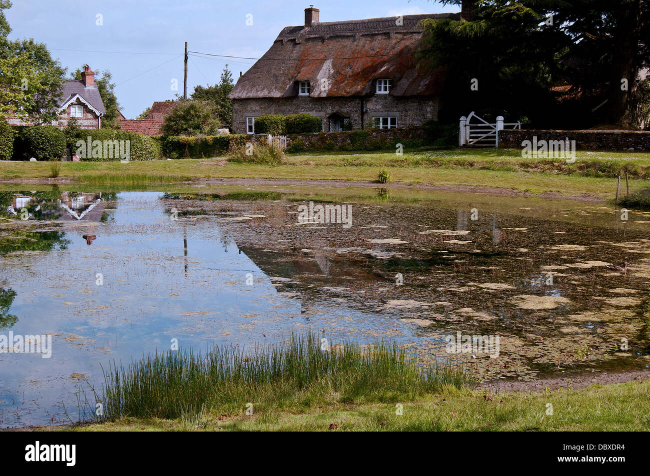 ashmore pond blackmore vale dorset Stock Photo Alamy
