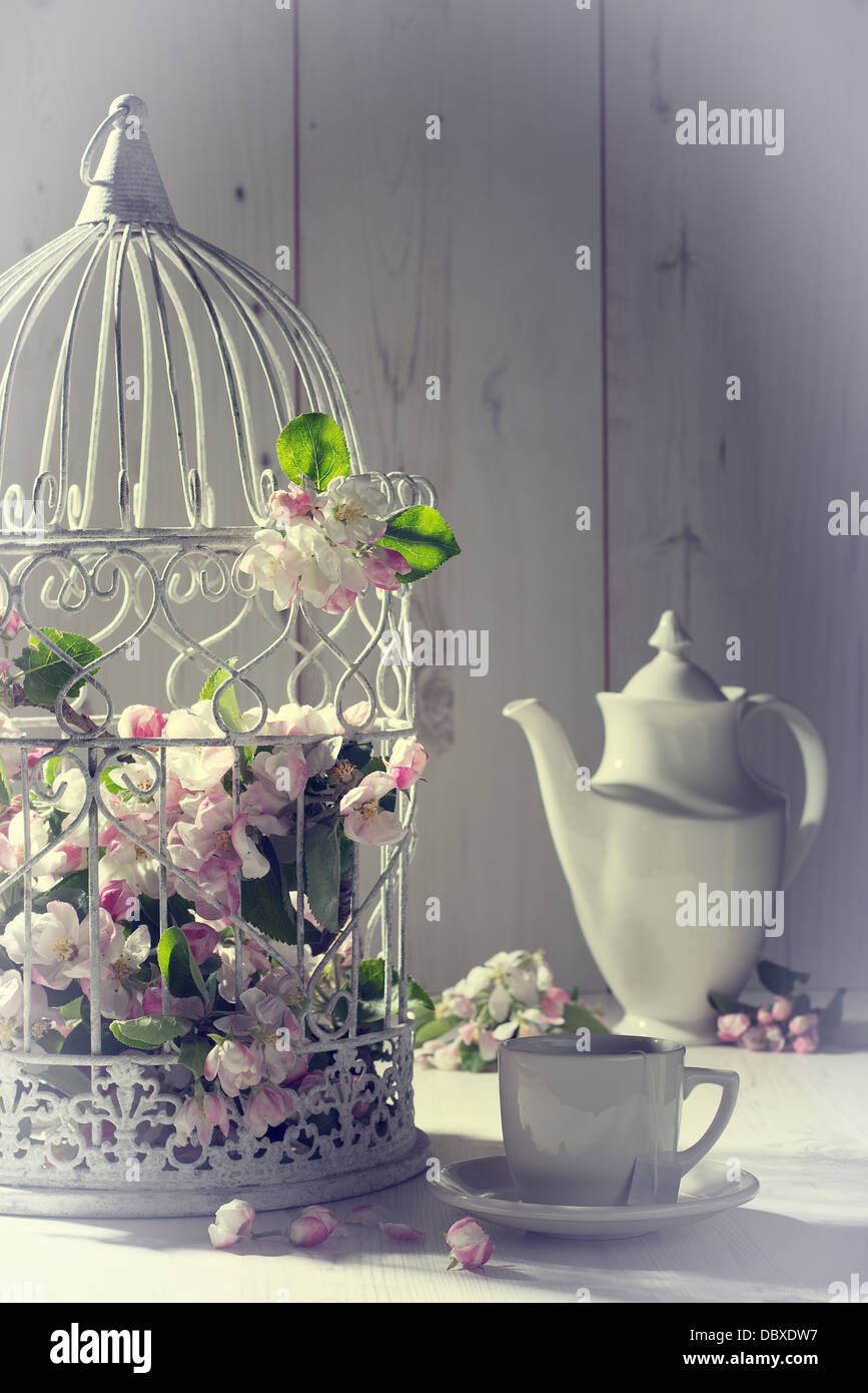 Vintage afternoon tea with birdcage filled with spring blossom Stock Photo