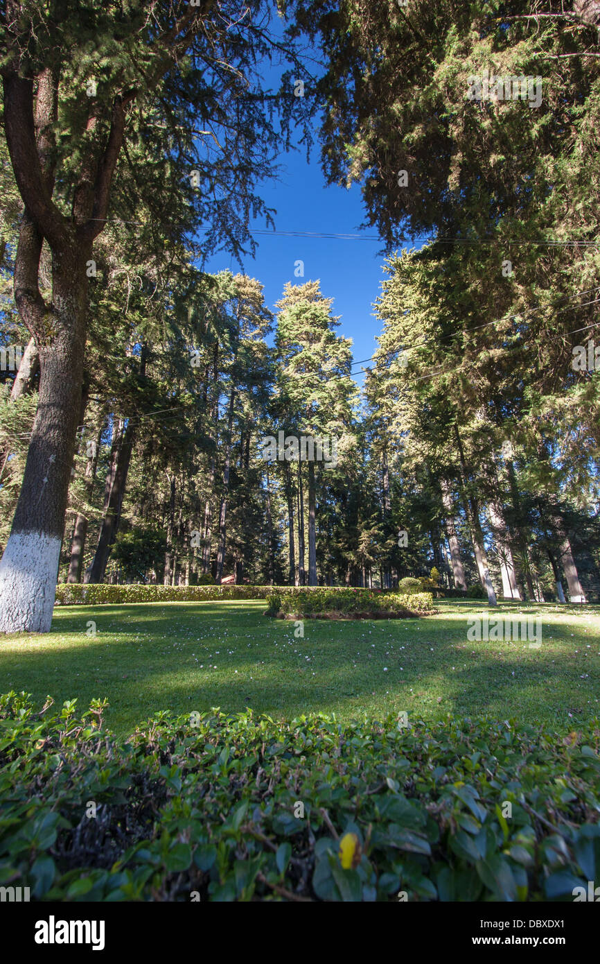 Picture taken near Mexico City Stock Photo Alamy