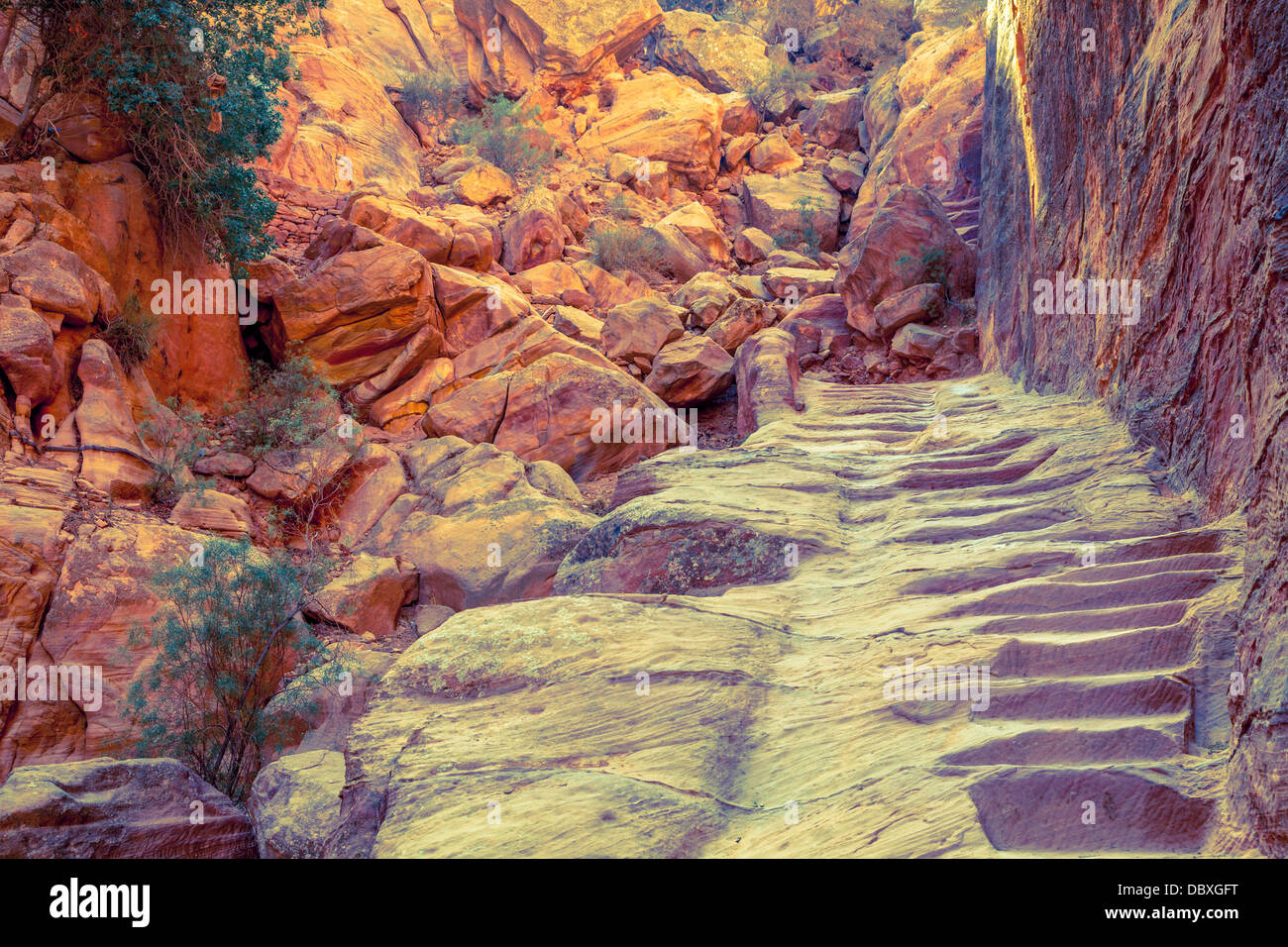 Jordan trail jordan hi-res stock photography and images - Alamy