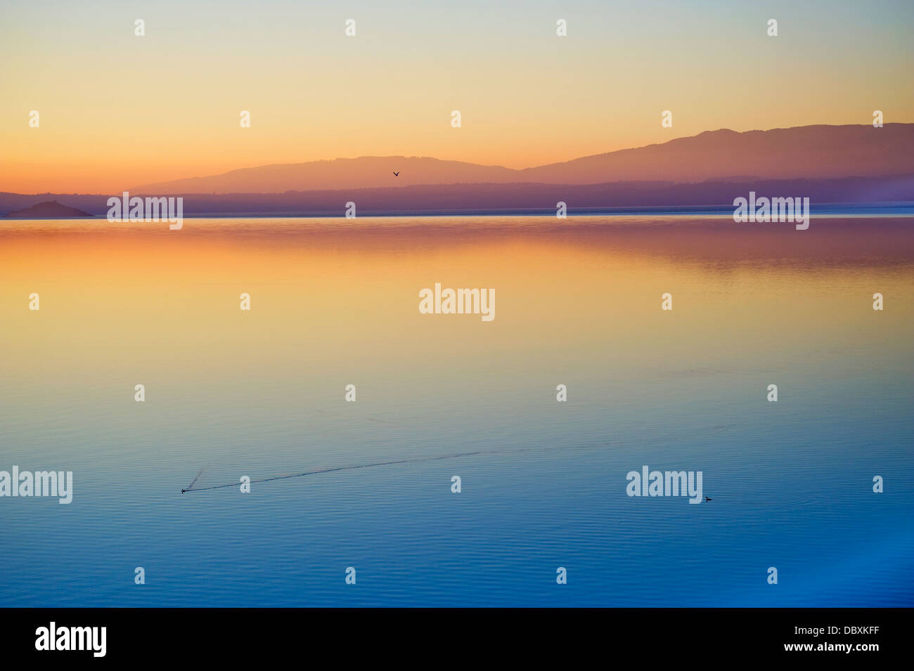 Lake Villarrica at sunrise Stock Photo