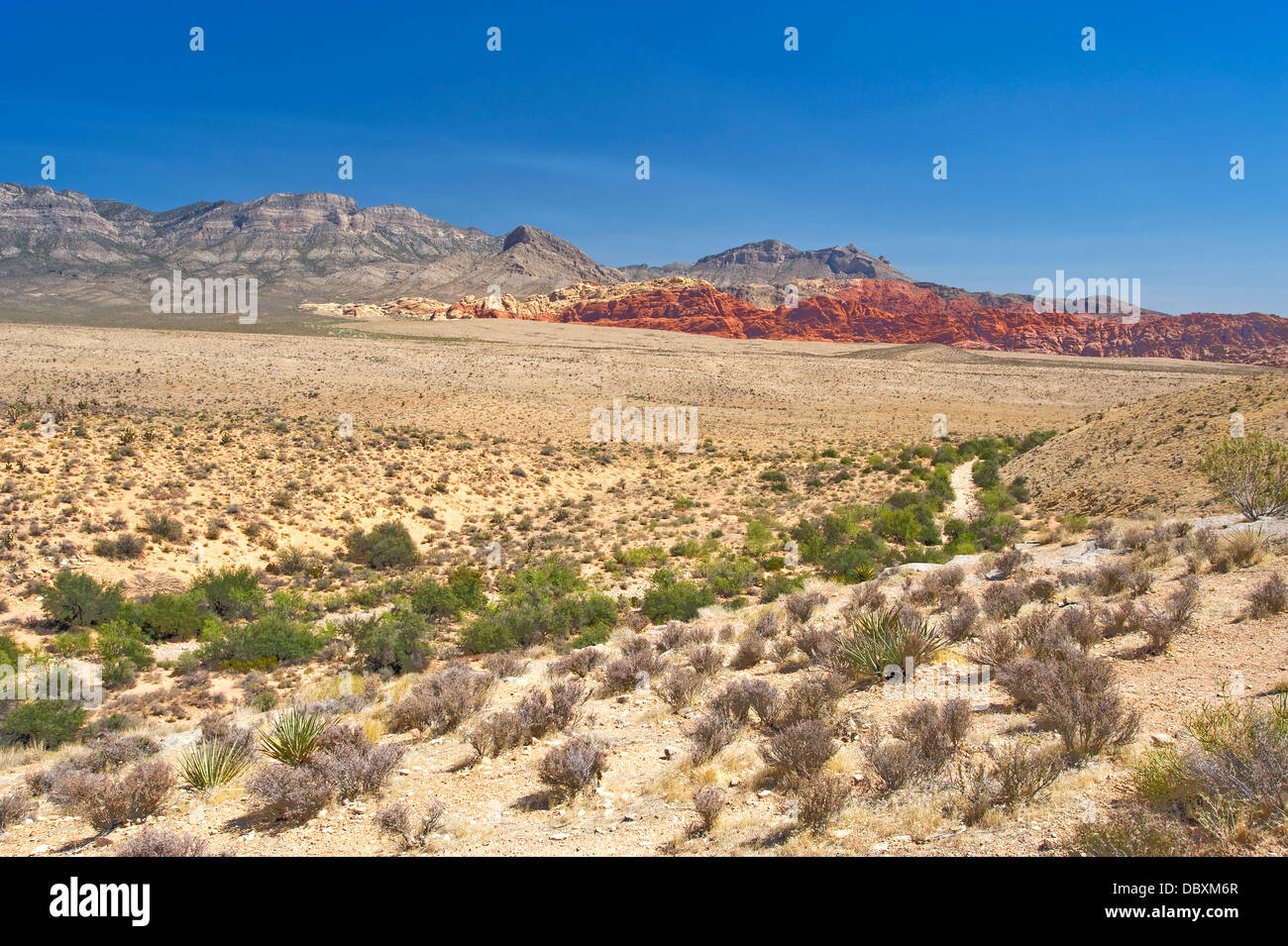 Red Rock Canyon National Conservation area, Nevada Stock Photo