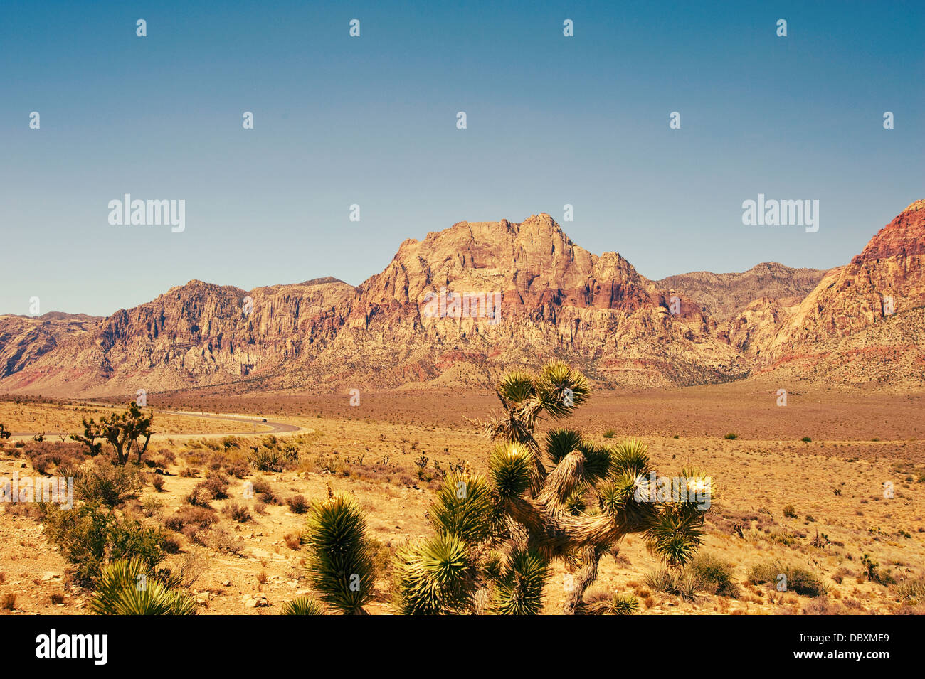 Red Rock Canyon National Conservation area, Nevada Stock Photo