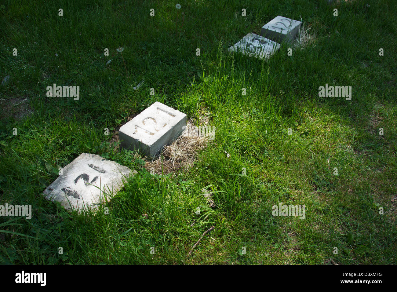 Numbered grave stones, Potter's Field. Historic Oak Ridge Cemetery