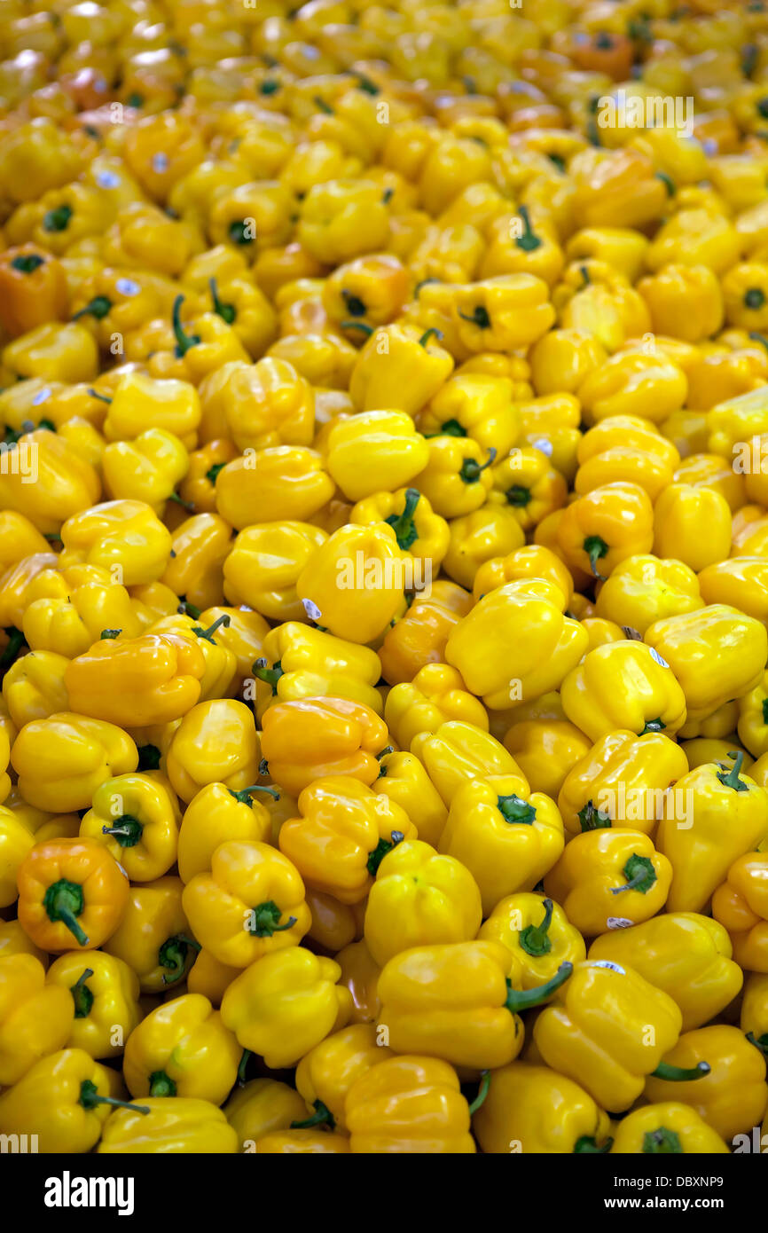 Sweet yellow Bell Peppers Stock Photo Alamy