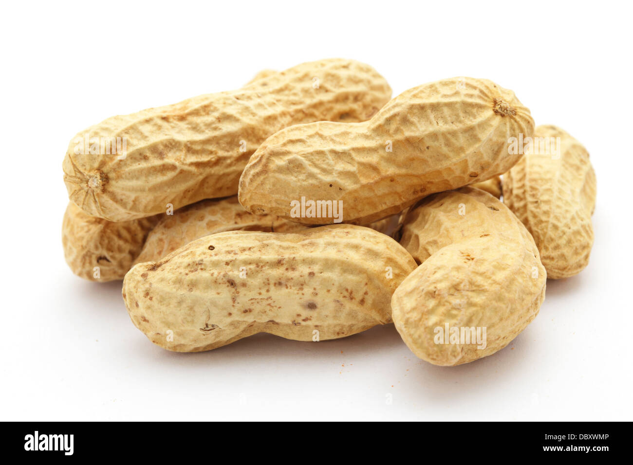 peanut Stock Photo
