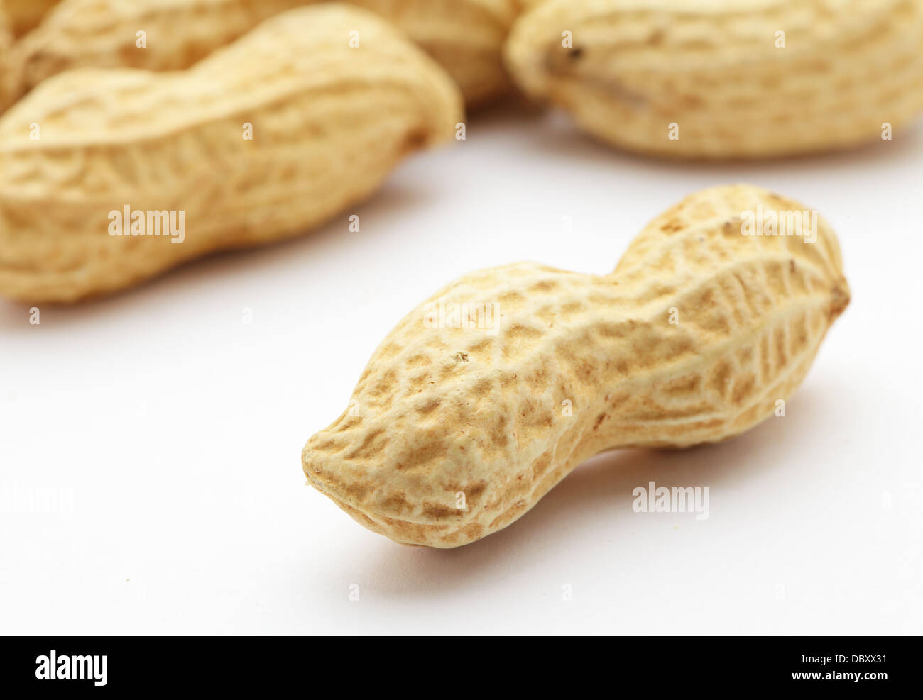 Peanut Stock Photo