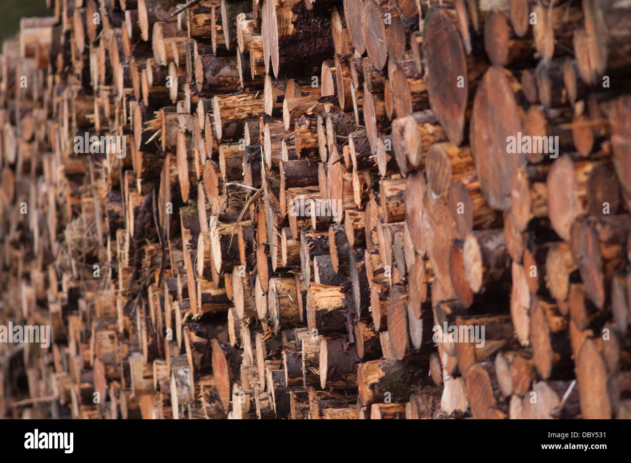 Stack of wood, Highlands, Scotland, United Kingdom. Stock Photo