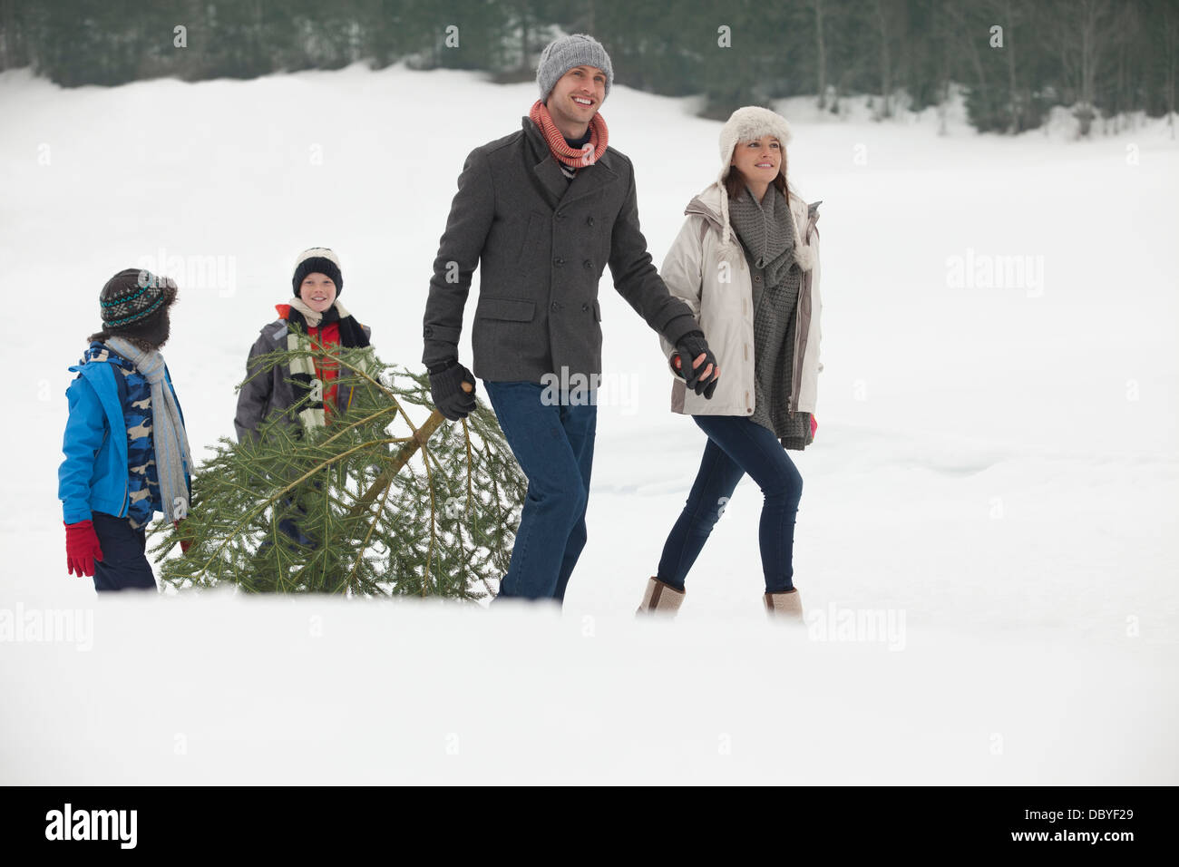 Smiling family dragging fresh Christmas tree in snowy field Stock Photo