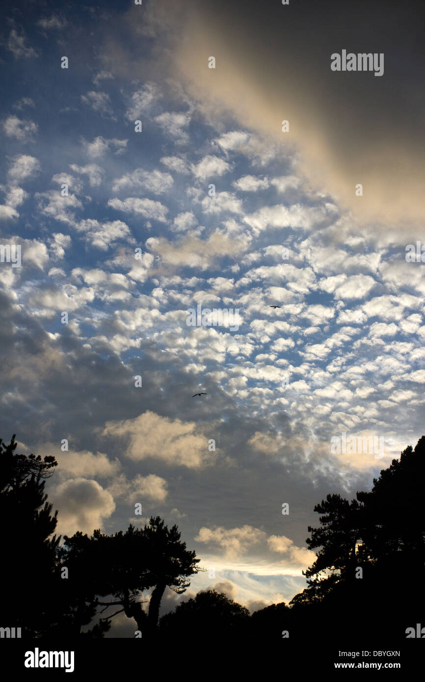 Mackerel sky clouds hires stock photography and images Alamy