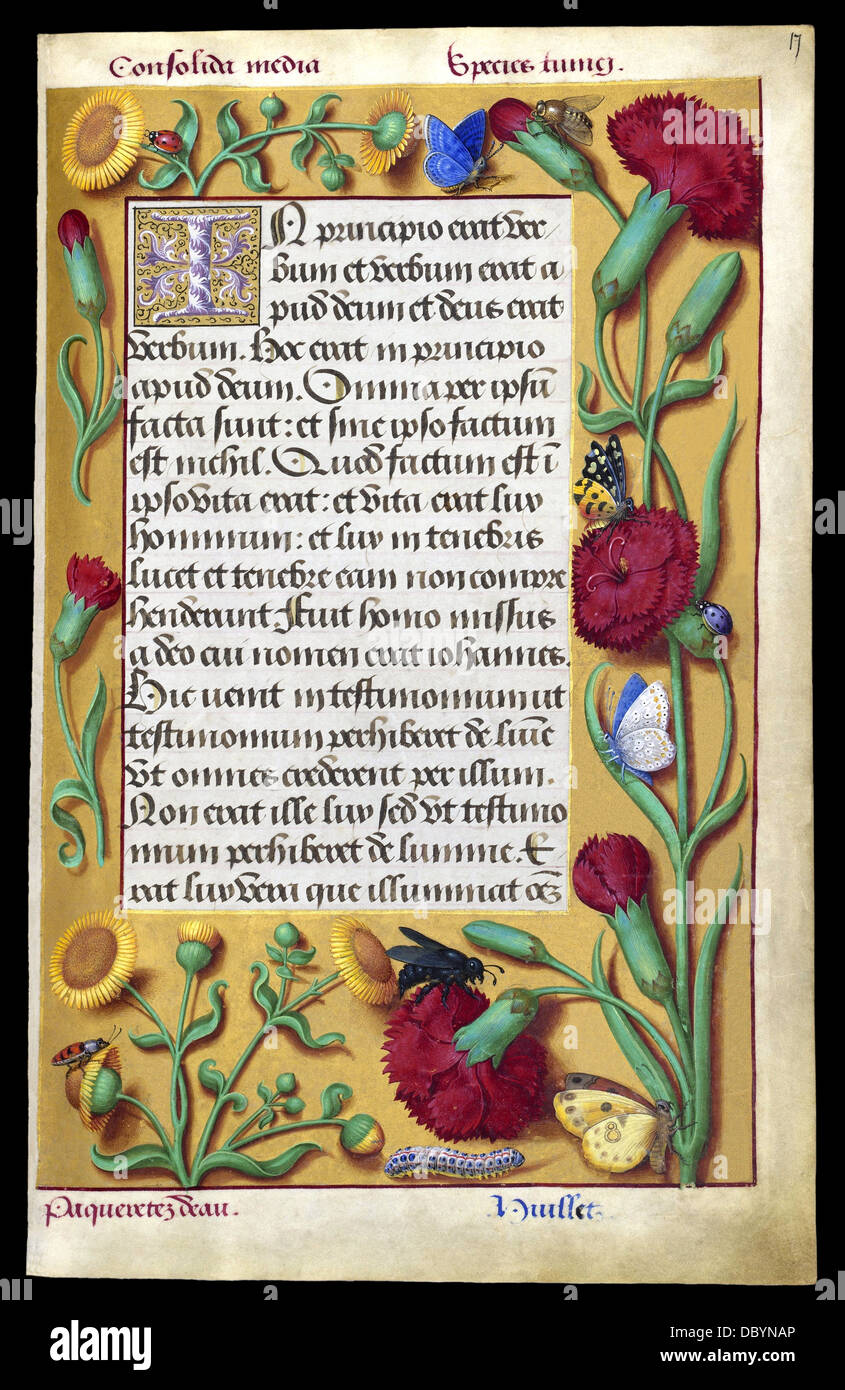 Illuminated manuscript of the Grandes Heures of Anne of Brittany Queen of France (1477-1514). Stock Photo