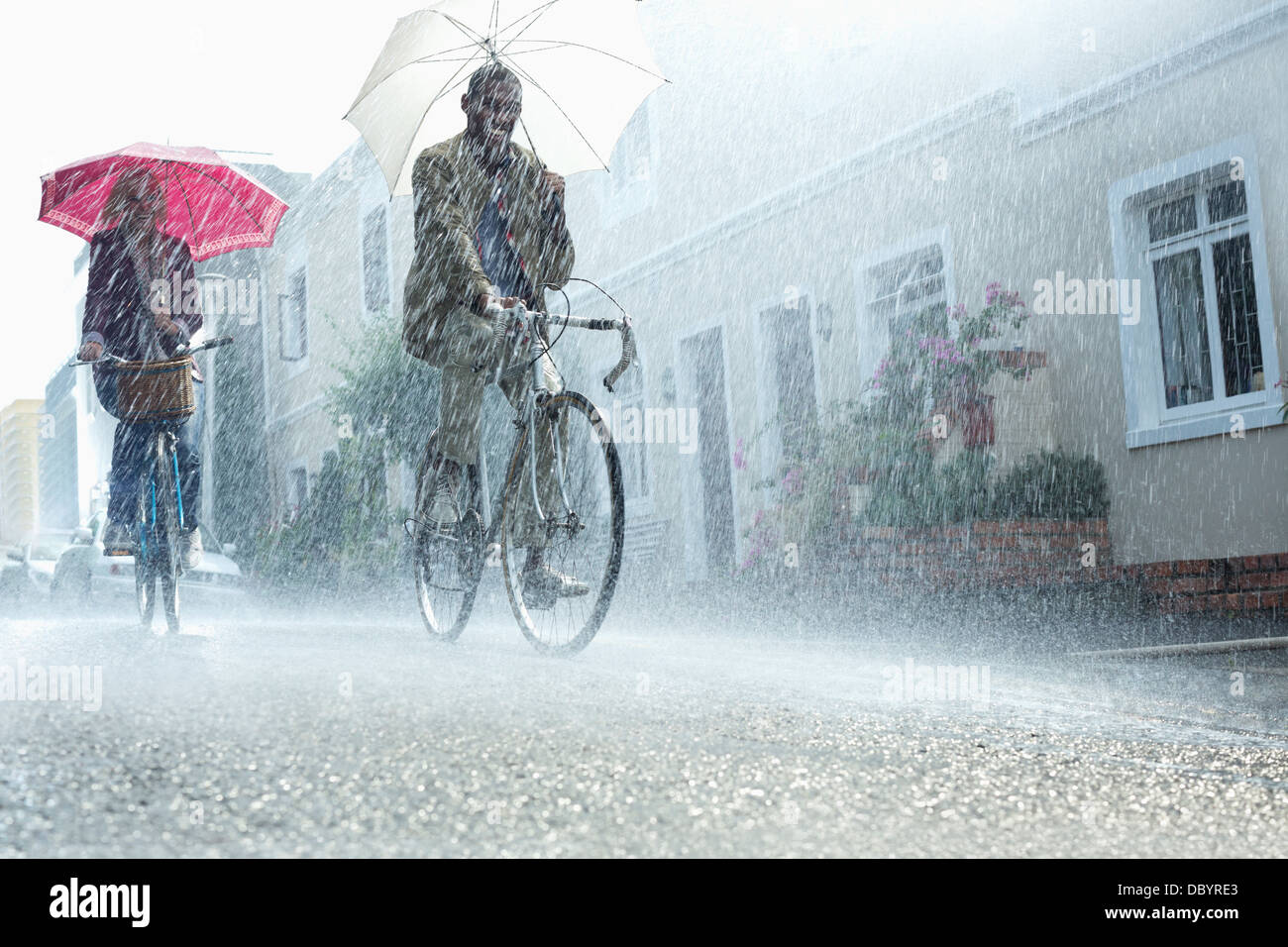Couple with umbrellas riding bicycles in rain Stock Photo Alamy
