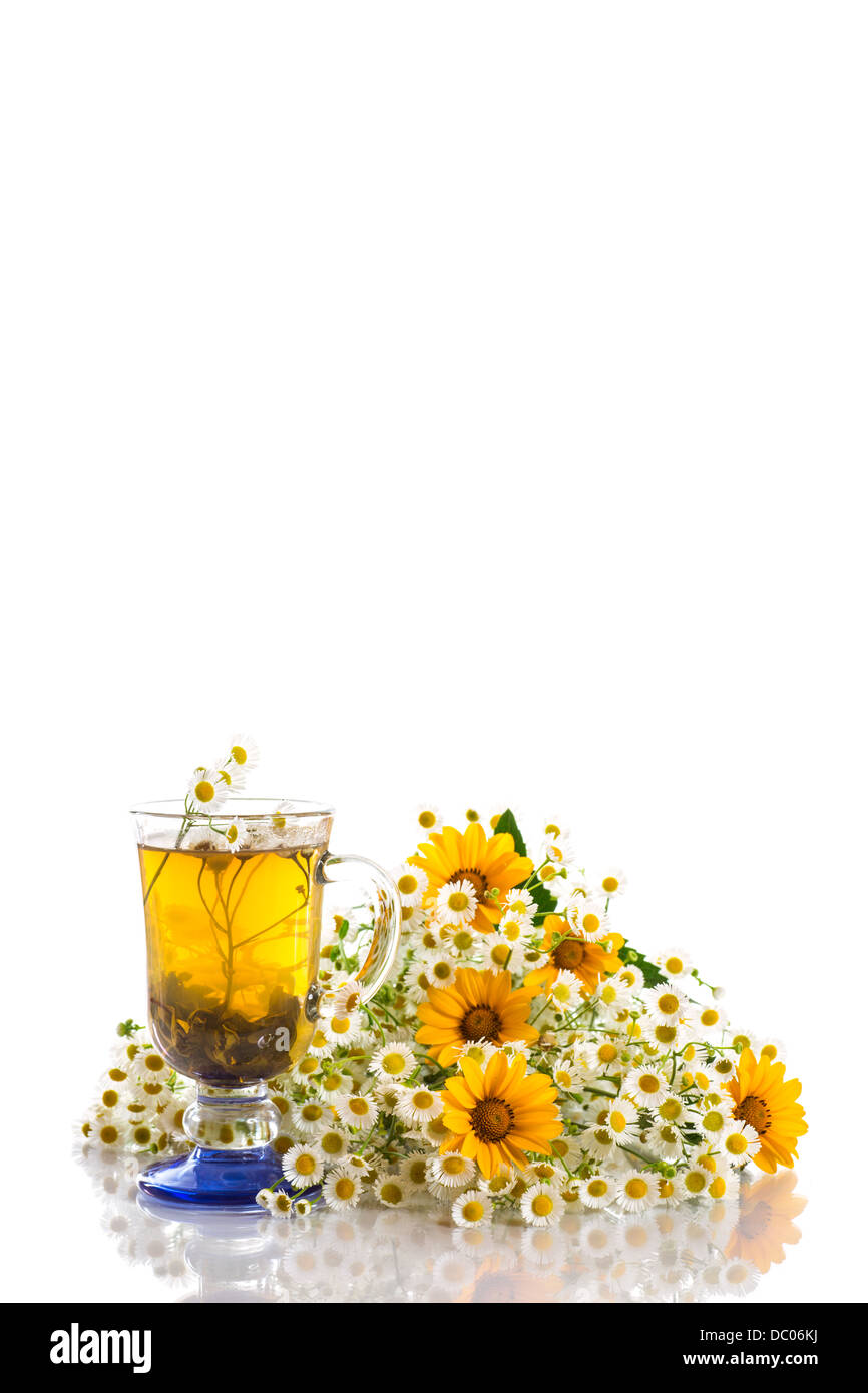 chamomile tea and a bouquet of daisies on a white background Stock ...