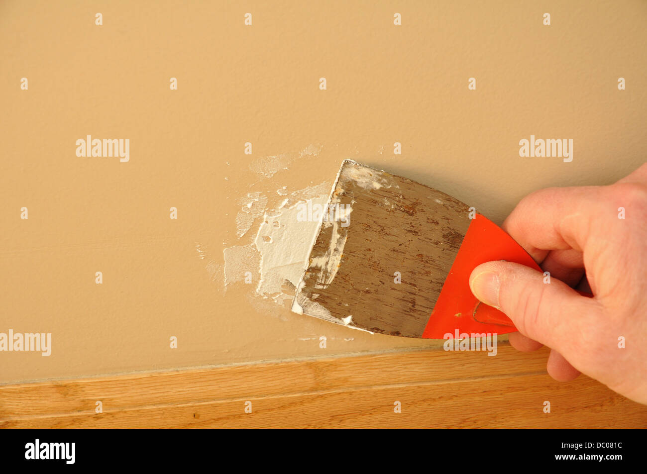 Putty Knife with filler / Pollyfilla / grout / spackling paste repairing a hole in the wall Stock Photo