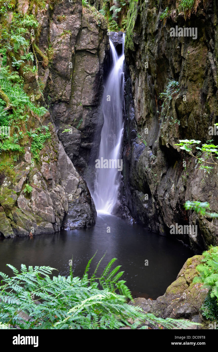 Stanley Ghyll Force near Dalegarth, Eskdale, Lake District, a sixty feet high waterfall situated in a 150' deep, narrow ravine. Stock Photo