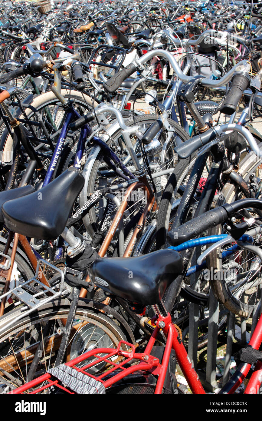 Amsterdam Netherlands Holland Europe Amsterdam Harbor train bike transportation many bicycles