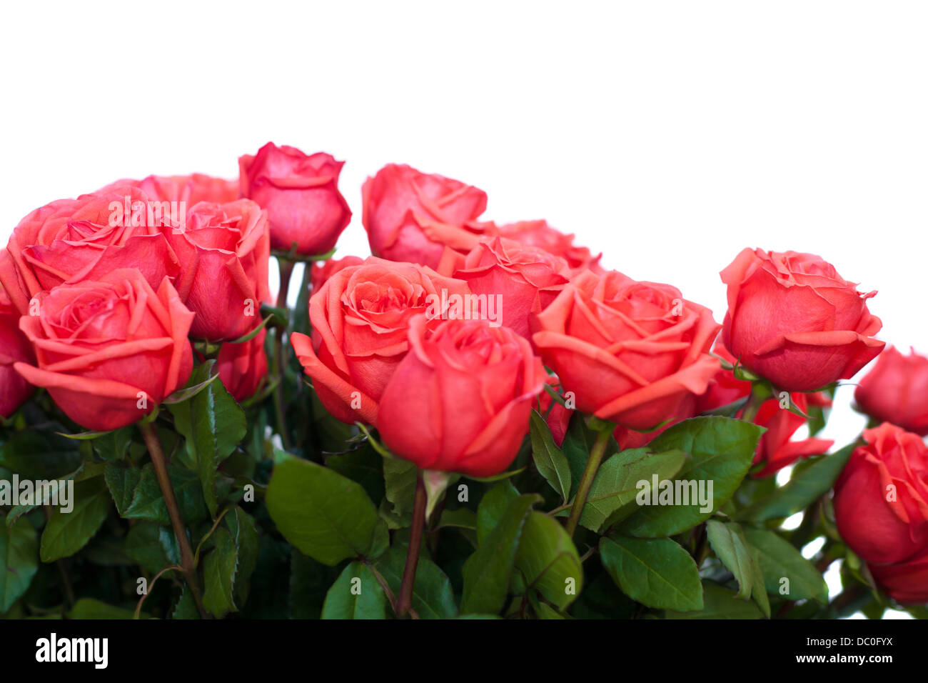 Pink wedding ideas hires stock photography and images Alamy