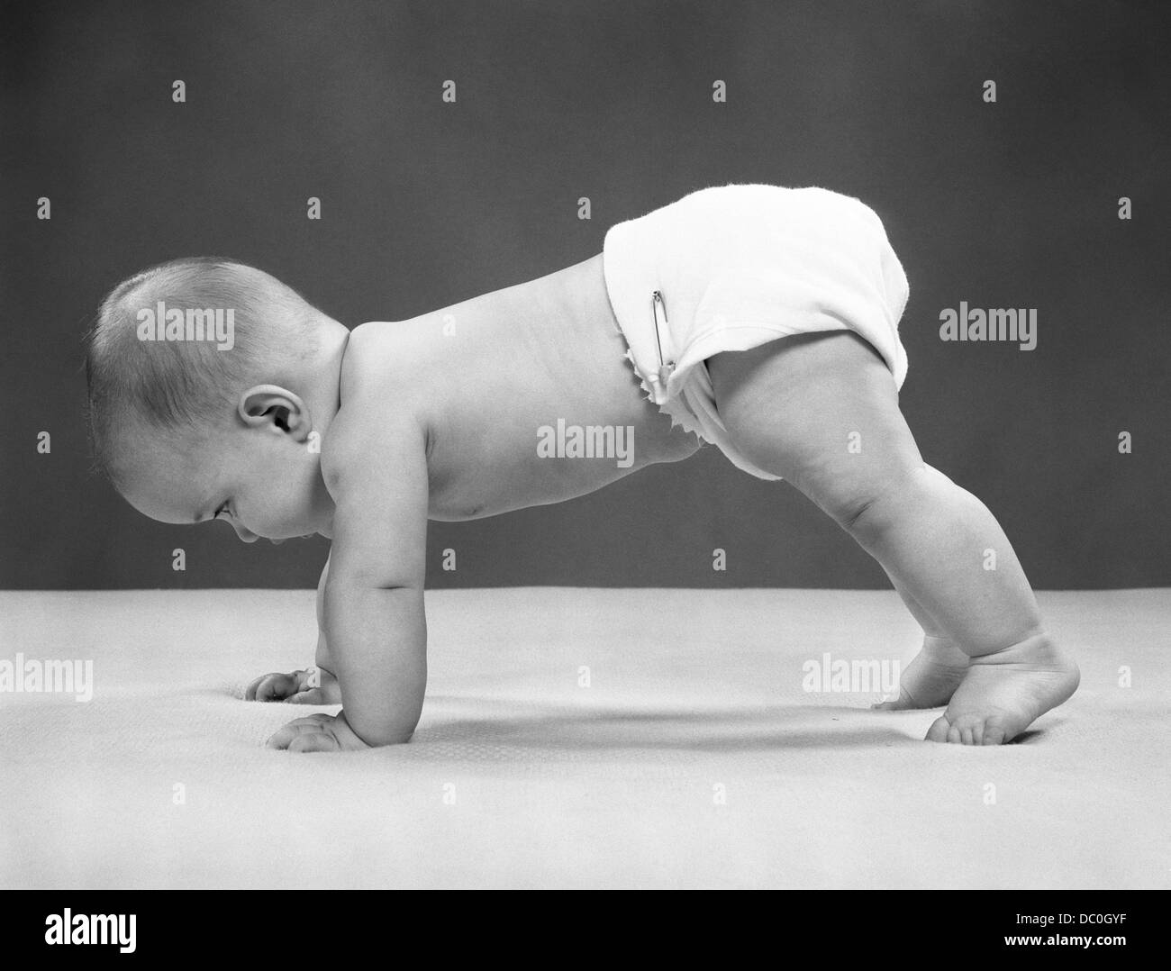 1950s BABY GIRL PUSH UP ON ALL FOURS CRAWLING ON TIPTOES 7 MONTHS Stock Photo