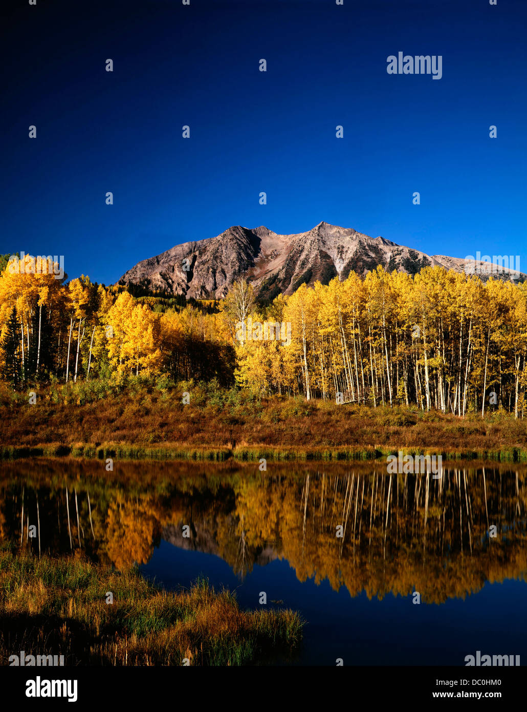 1980s AUTUMN SCENIC GOLDEN ASPEN TREES REFLECTED IN CALM WATER WEST ELK ...