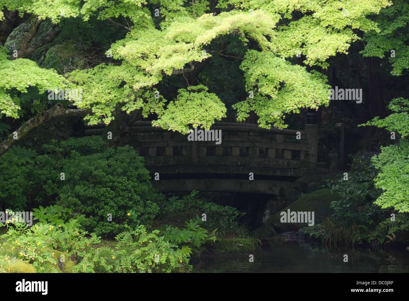 Hidden bridge surrounded by trees in a Japanese temple. Stock Photo